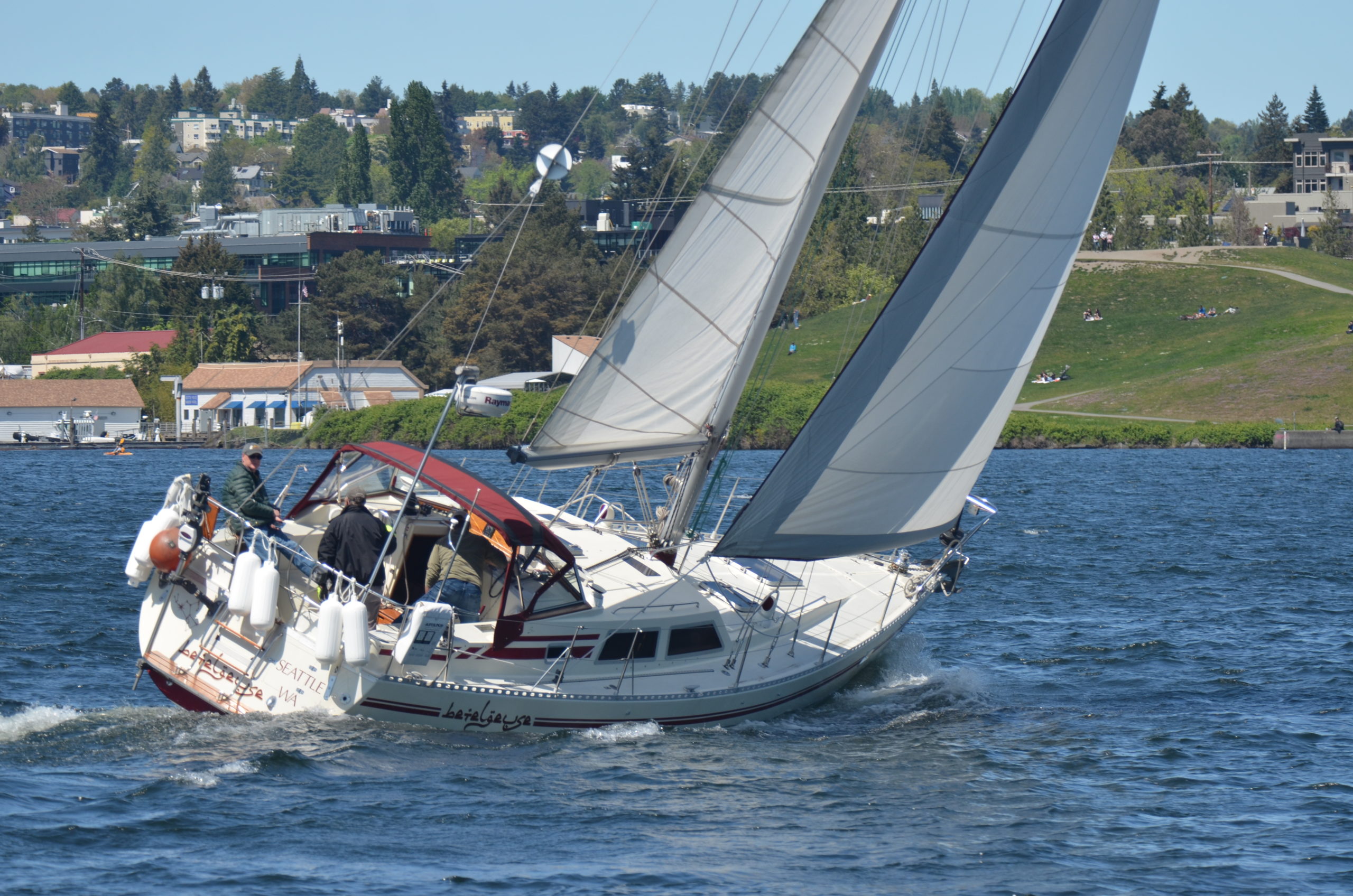 Sceptre 41 Betelgeuse Swiftsure Yachts