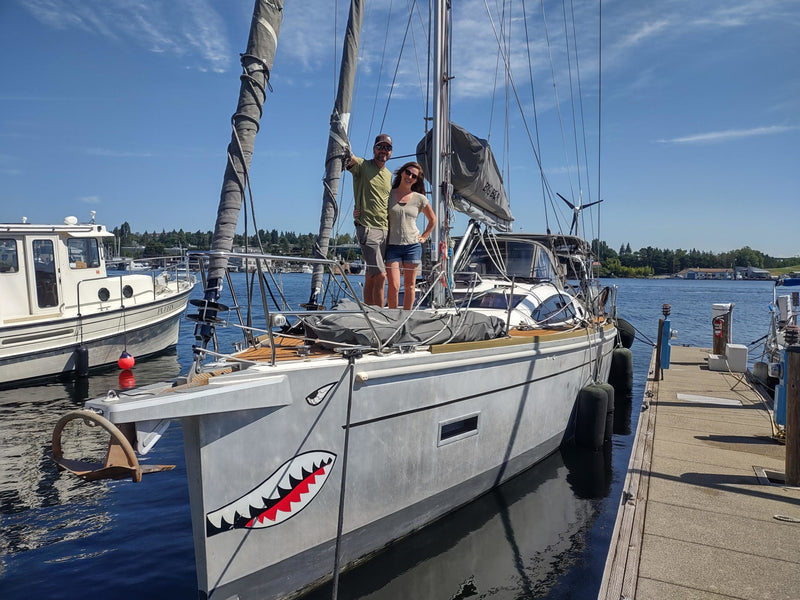 A BIG BEAR sighted on Lake Union!