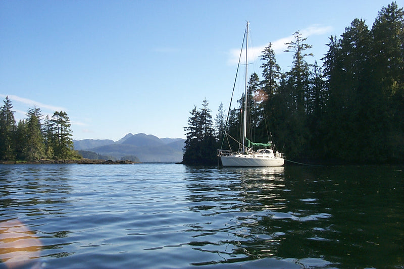 2001 Outbound 44 - Sequoia