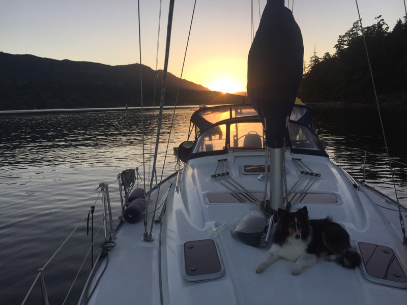 2007 Bavaria 37 Cruiser