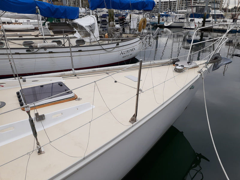 Velella - Wylie 31