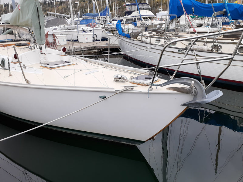 Velella - Wylie 31