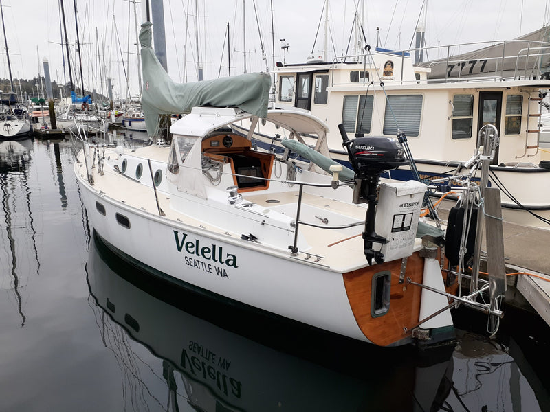Velella - Wylie 31