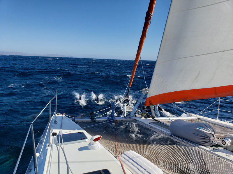 Outremer 42 - Tumbleweed