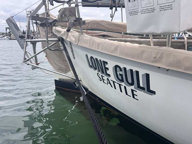 Alajuela 38 - LONE GULL