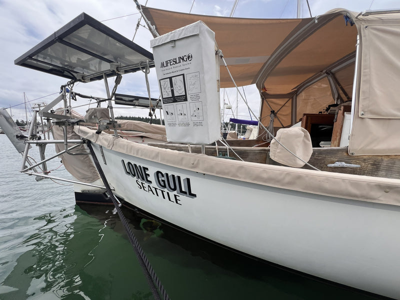 Alajuela 38 - LONE GULL