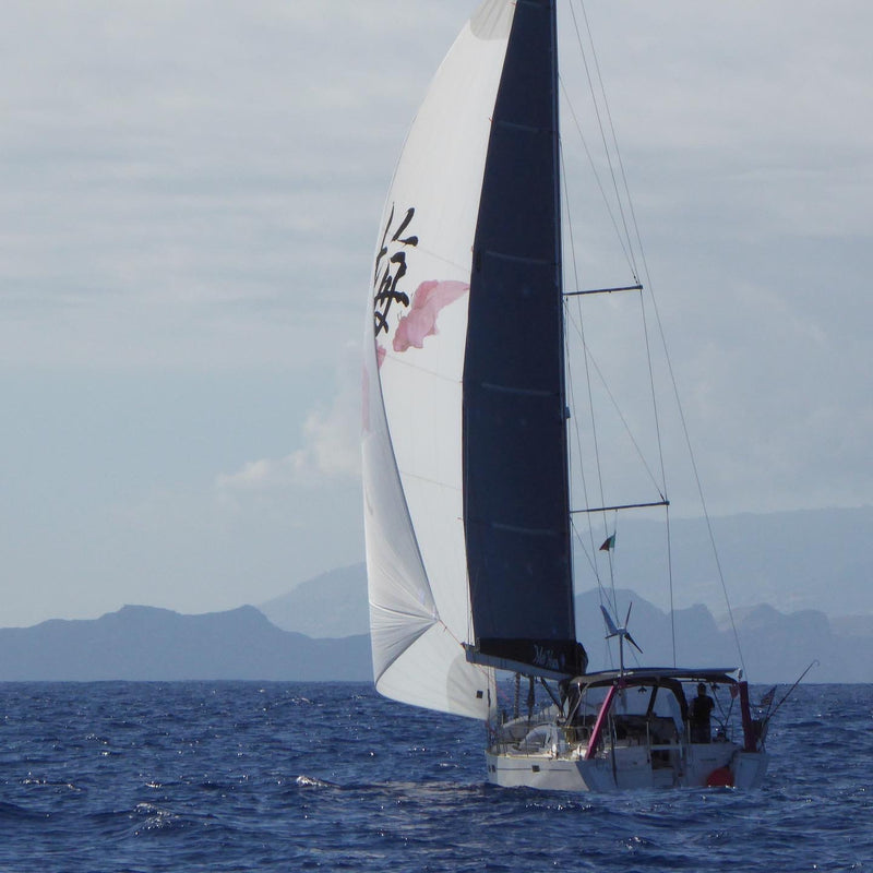 2018 Allures 45.9 - MEI HUA