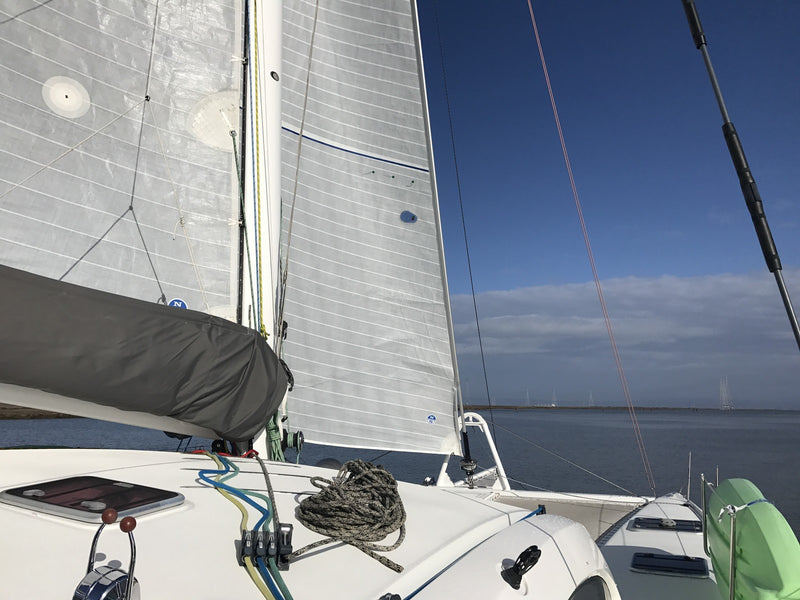 Outremer 49 - Stray Cat