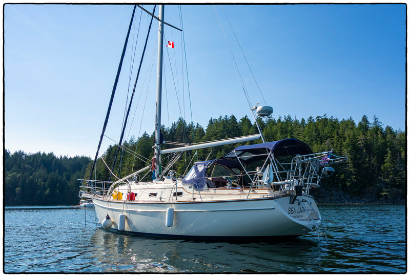 Island Packet 350 - SEA LARK