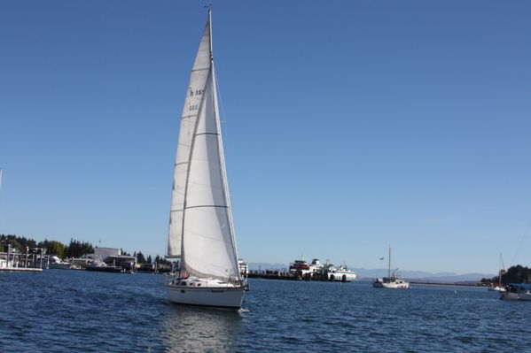 Hunter 35.5 - Insouciant