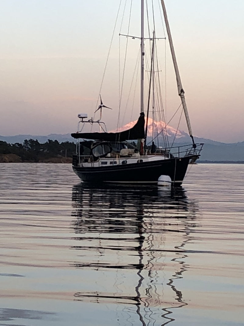 Morris Able 34 Toroa