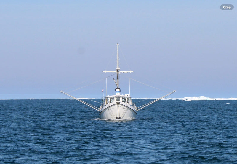 Custom 48' Steel Trawler - IRON WILL