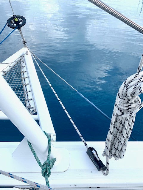 Outremer 49 - Stray Cat