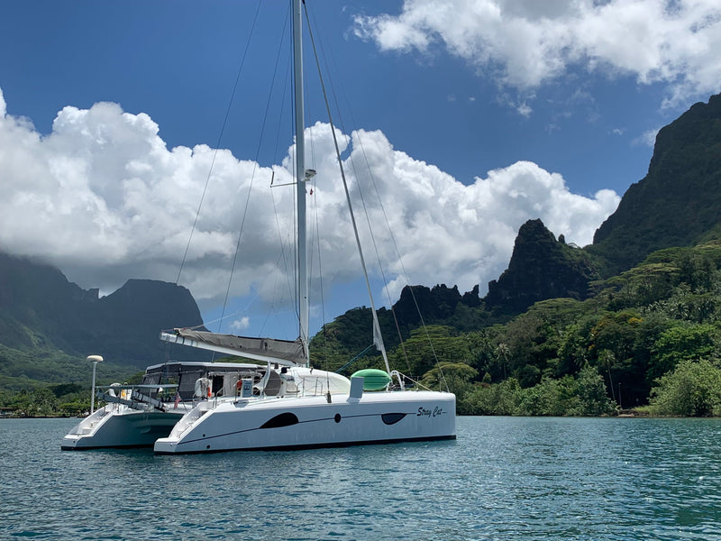 Outremer 49 - Stray Cat