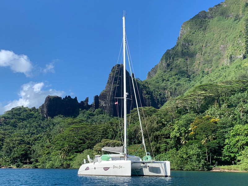 Outremer 49 - Stray Cat
