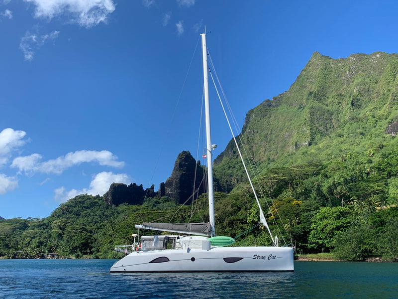 Outremer 49 - Stray Cat
