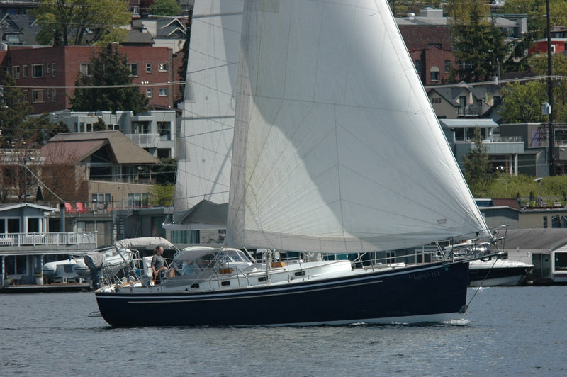 Ellis Nereus 40 - Nutshell
