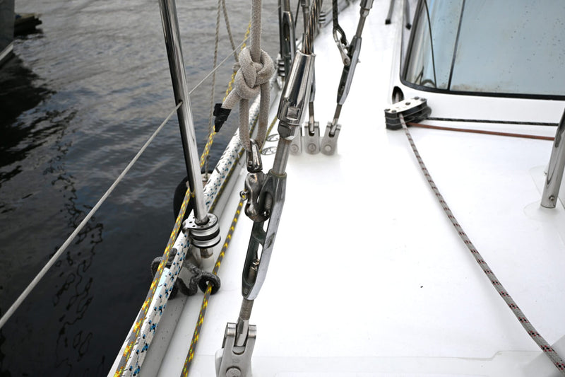 Waterline 55 - DELPHINA