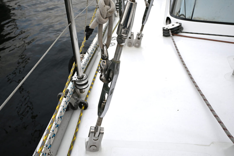 Waterline 55 - DELPHINA