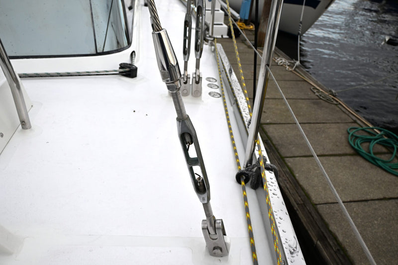 Waterline 55 - DELPHINA
