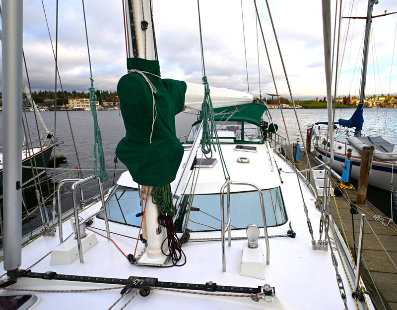 Waterline 55 - DELPHINA