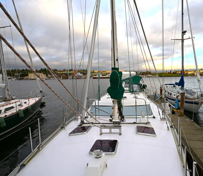 Waterline 55 - DELPHINA
