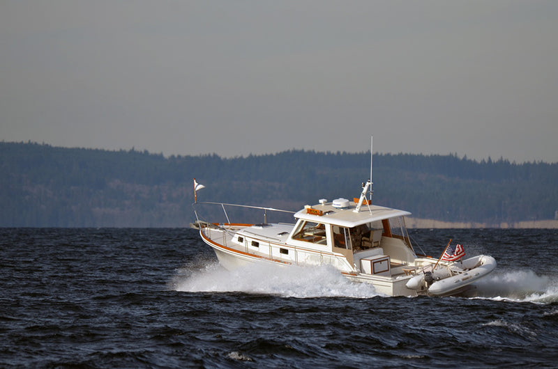 Eastbay 38 Beagle
