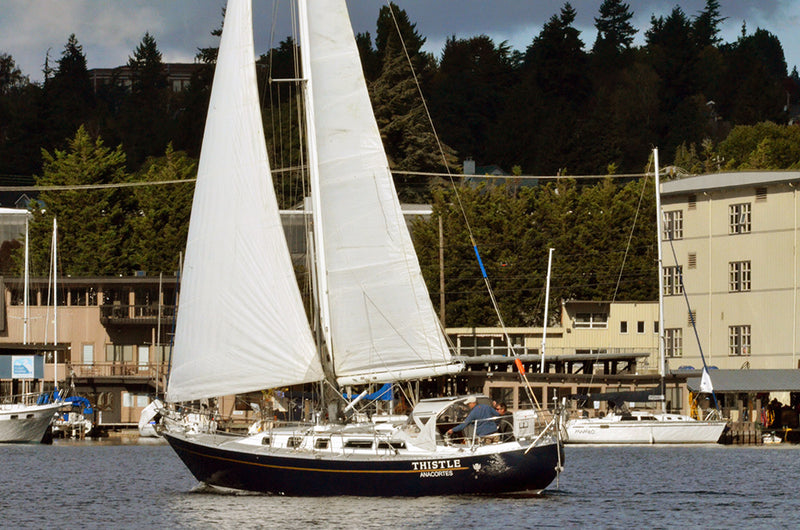 Thistle Esprit 37