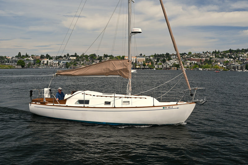Mercator Offshore 30 - ONE-EYED CAT