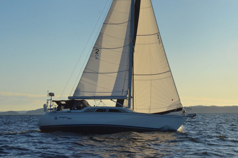 Catalina Morgan 440 Deck Salon (DS) - Octopus Time