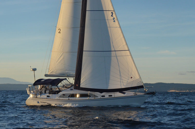 Catalina Morgan 440 Deck Salon (DS) - Octopus Time