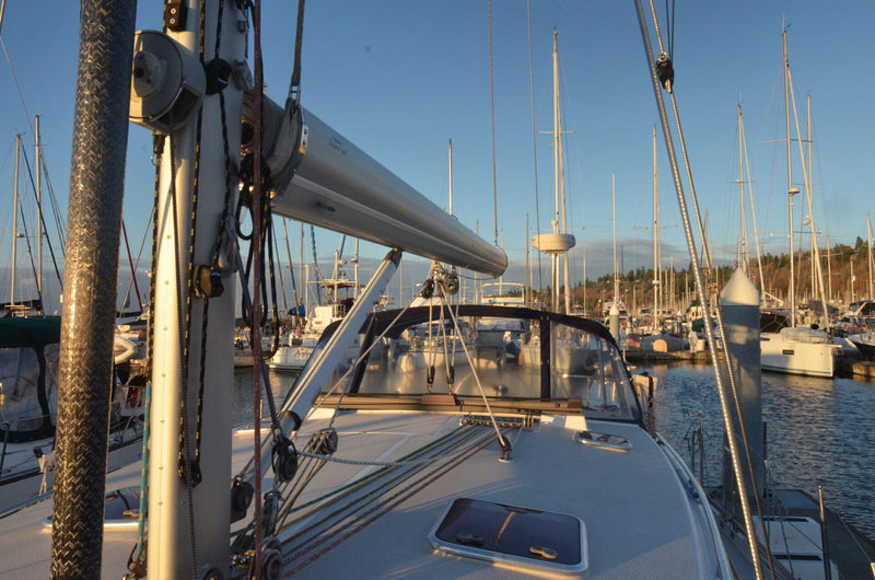 Catalina Morgan 440 Deck Salon (DS) - Octopus Time