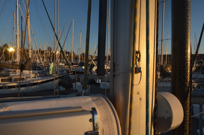 Catalina Morgan 440 Deck Salon (DS) - Octopus Time