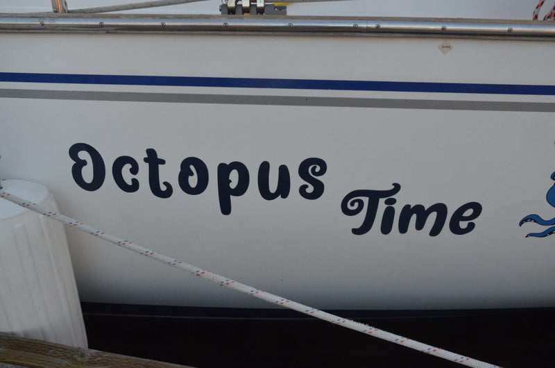 Catalina Morgan 440 Deck Salon (DS) - Octopus Time