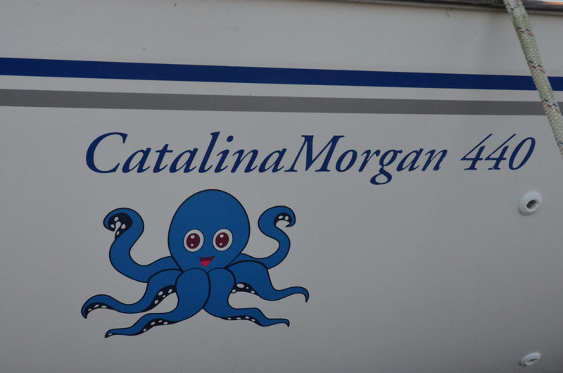 Catalina Morgan 440 Deck Salon (DS) - Octopus Time