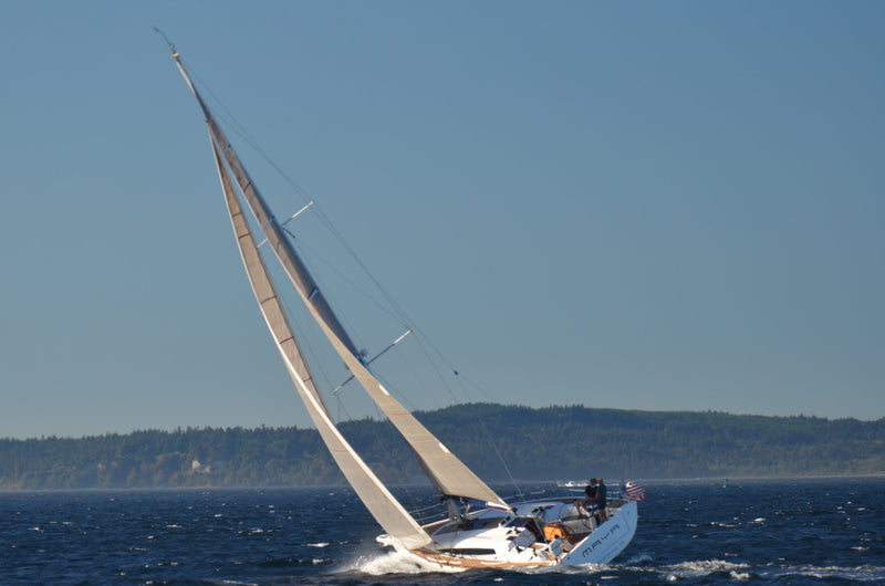 Maya - Dehler 46