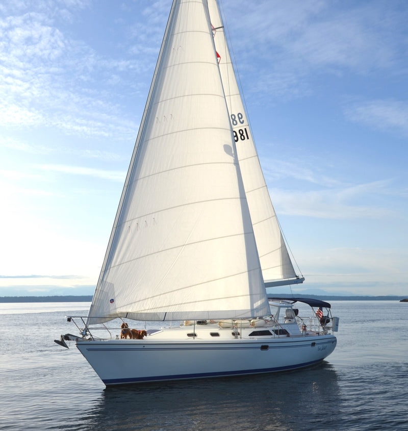 Catalina 42 Mk II Le Jouet