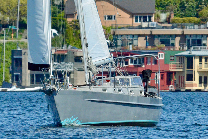 Brewer 35 - PATINA