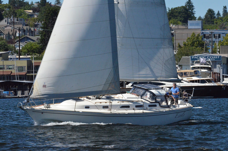Pearson 36-2 - Evolo