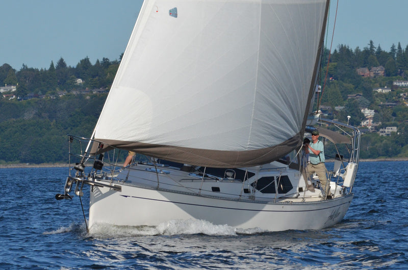 Saga 48 - ARCTIC RAVEN