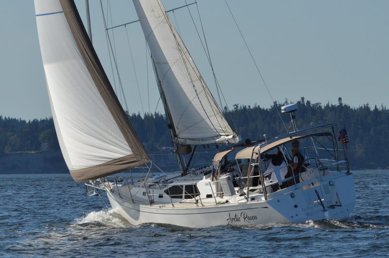 Saga 48 - ARCTIC RAVEN