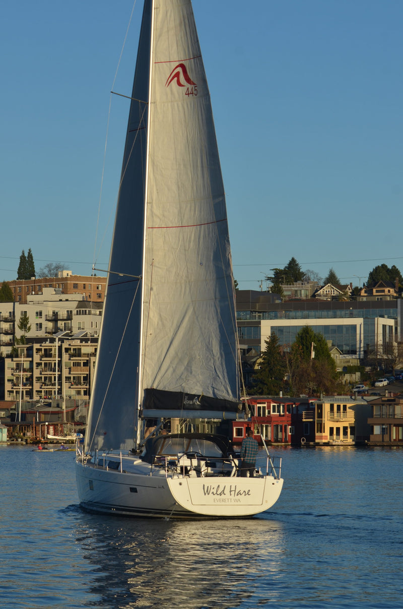 Wild Hare - Hanse 445