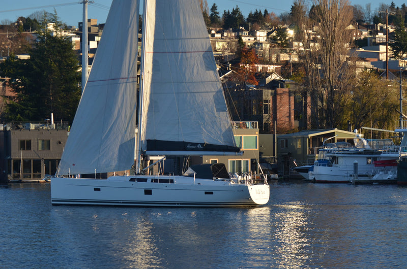 Wild Hare - Hanse 445