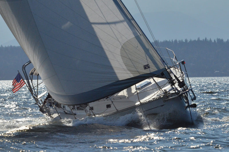 Saga 48 - ARCTIC RAVEN