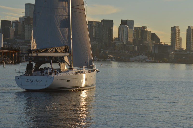 Wild Hare - Hanse 445