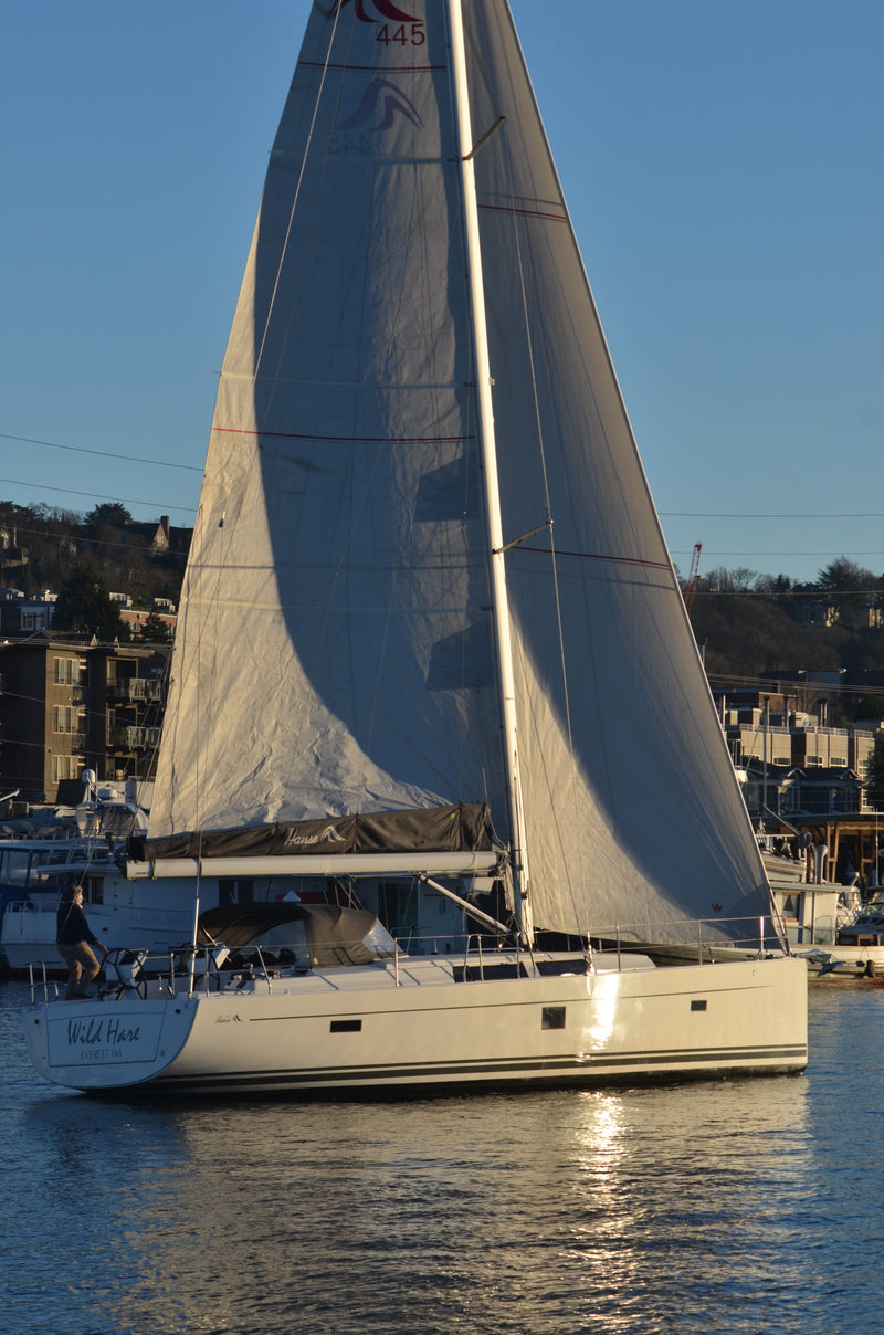 Wild Hare - Hanse 445