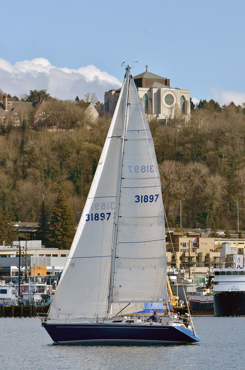Baltic 38DP Shoshanna