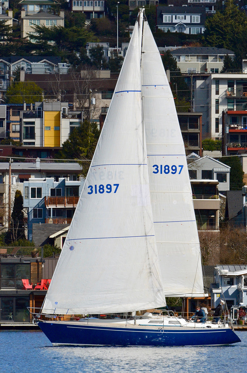 Baltic 38DP Shoshanna