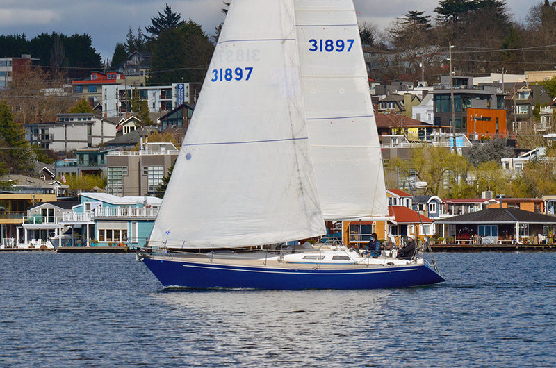 Baltic 38DP Shoshanna