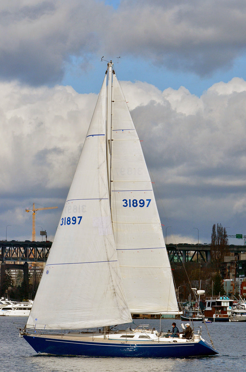 Baltic 38DP Shoshanna